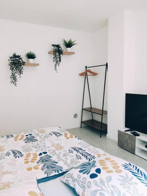Magnifique Appartement T3 50 M2 오베르네 외부 사진