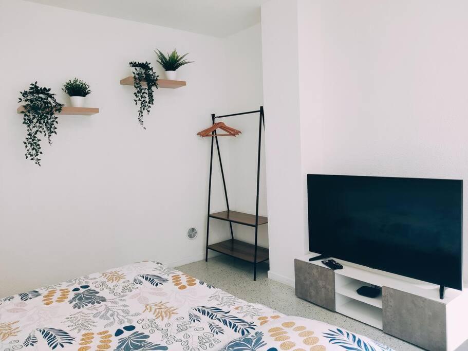 Magnifique Appartement T3 50 M2 오베르네 외부 사진
